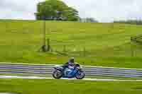 Lower Group Blue Bikes